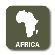 Africa