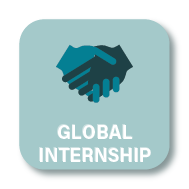 Global Internship
